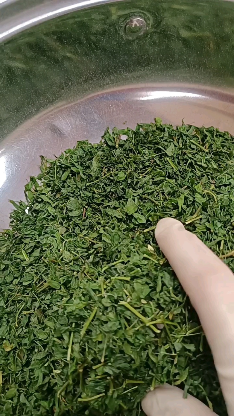 鸡骨草