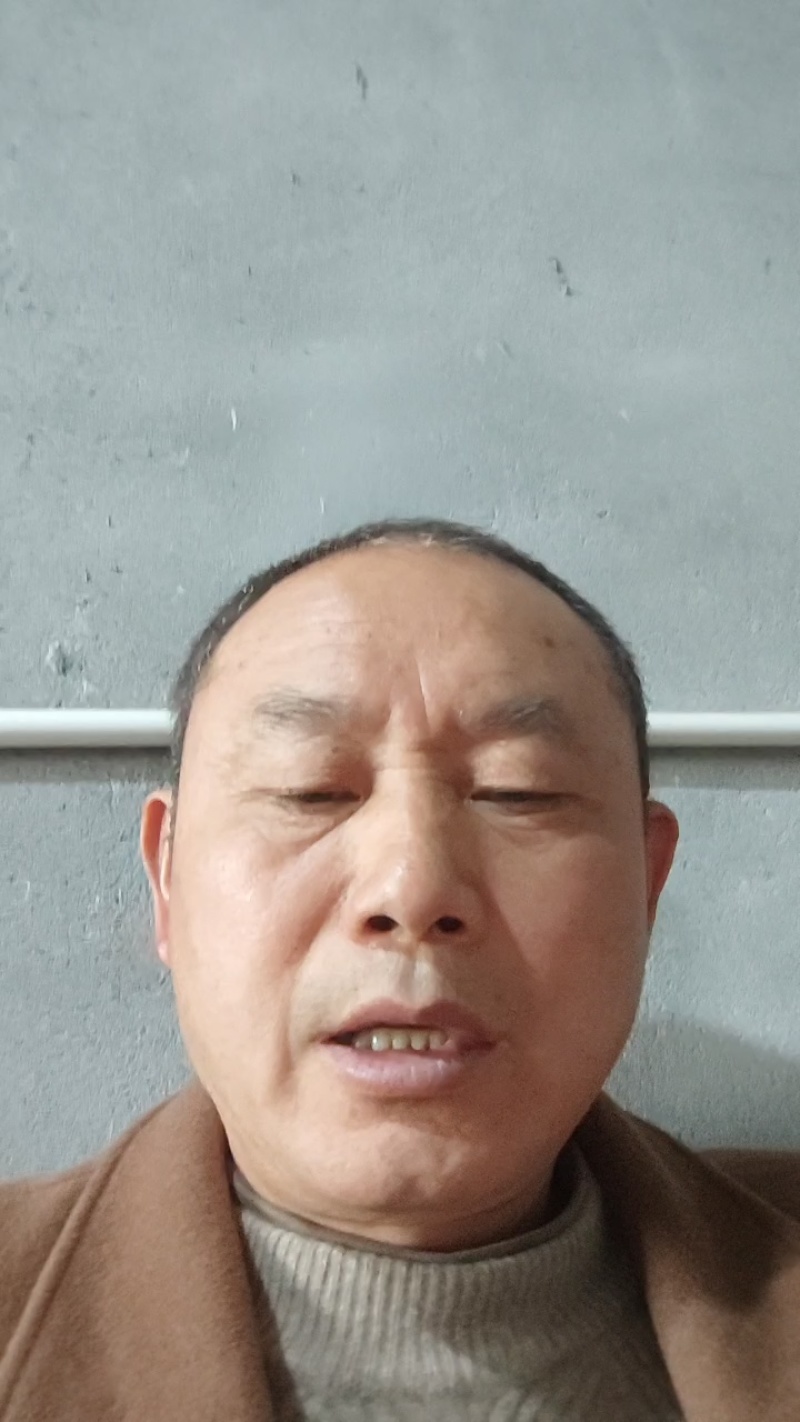 正宗蜂糖李子苗，蜂糖李嫁接苗，中晚熟品种基地直发。