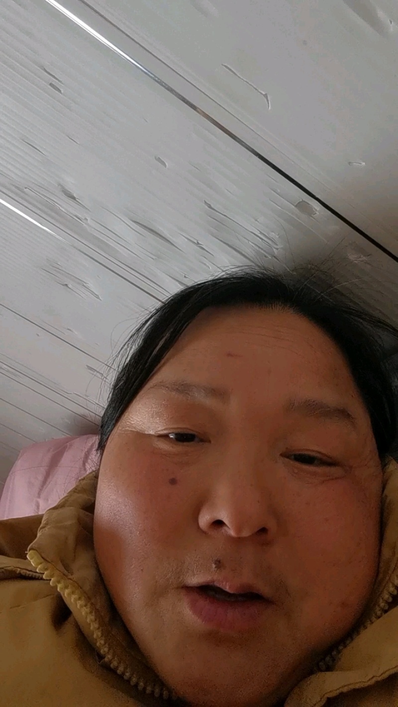 苦蝶子一代代发，去根净菜冰鲜发货2026现货现发