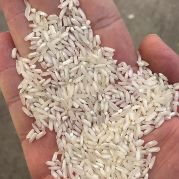 大量批发碎米、白米