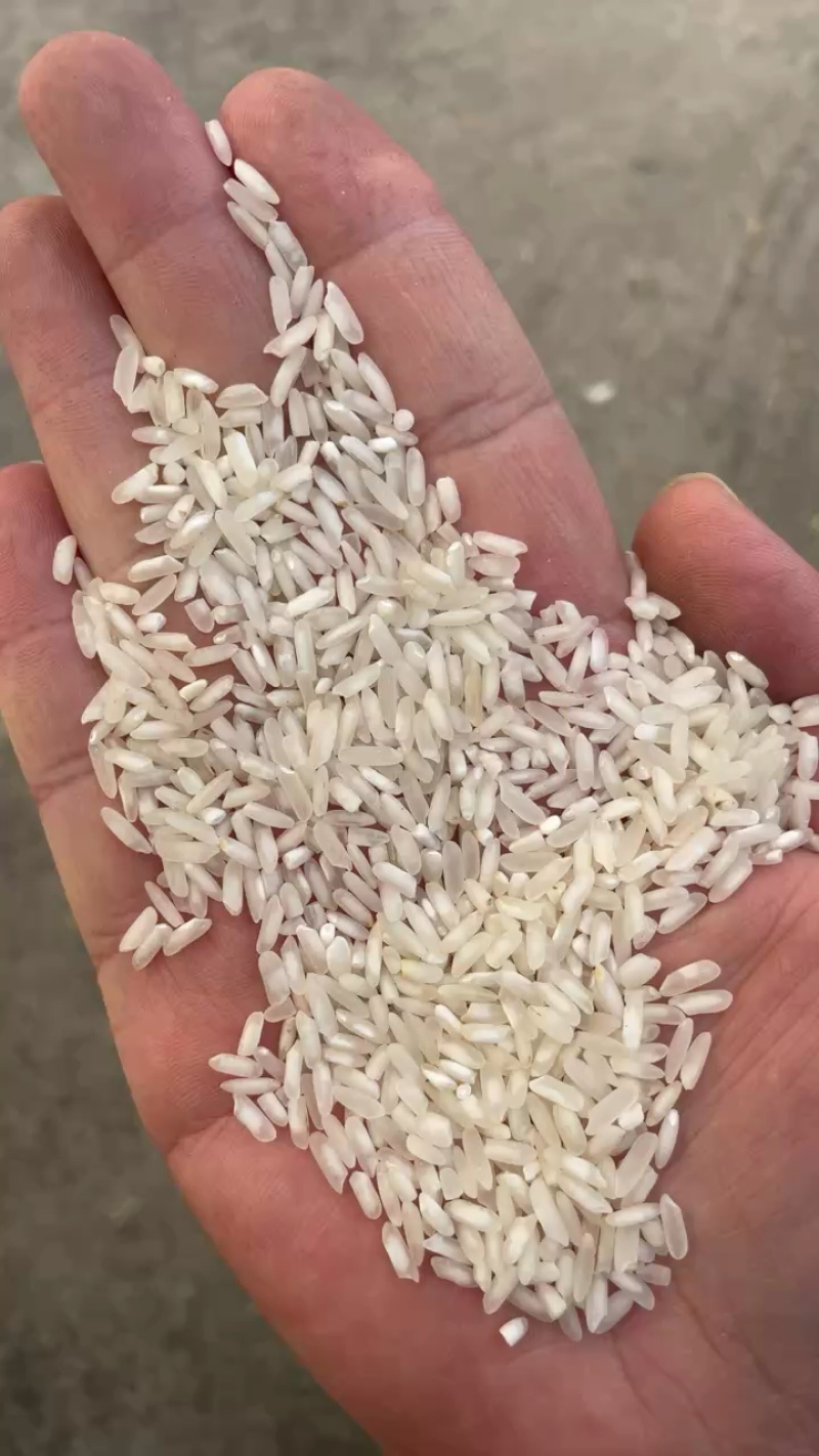 大量批发碎米、白米