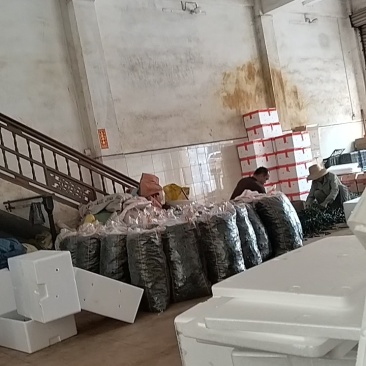 广东基地一手货源