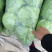 江苏精品暖棚宣甘蓝，量大从优，一手货源，供应市场商超