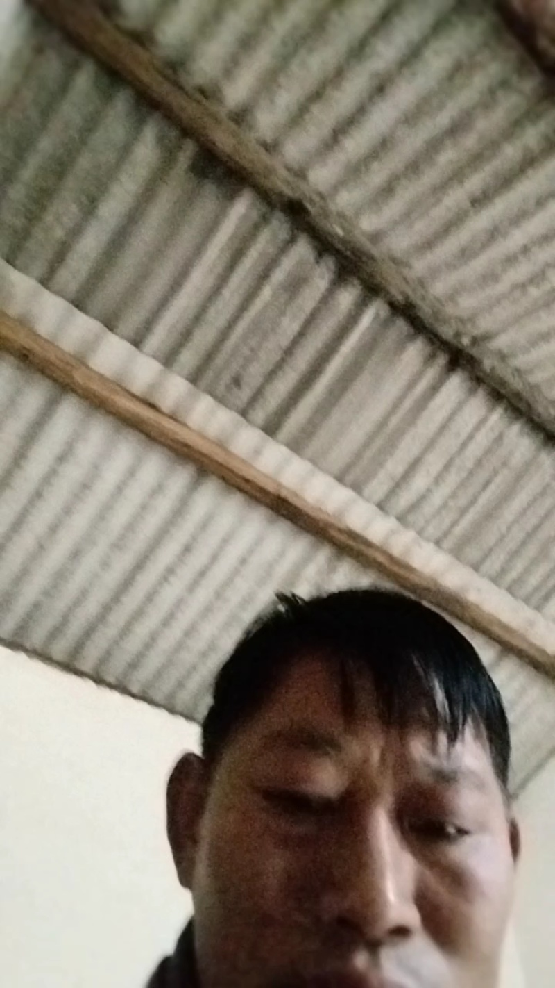 鸡宝
