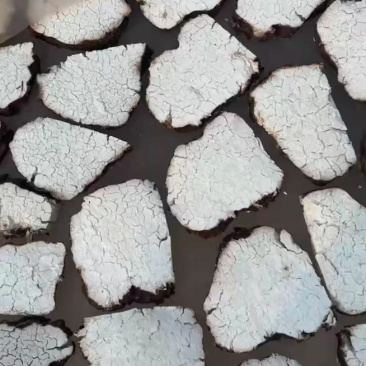 茯苓/云苓/云南楚雄市正宗一手货源/产地直供/欢迎咨询