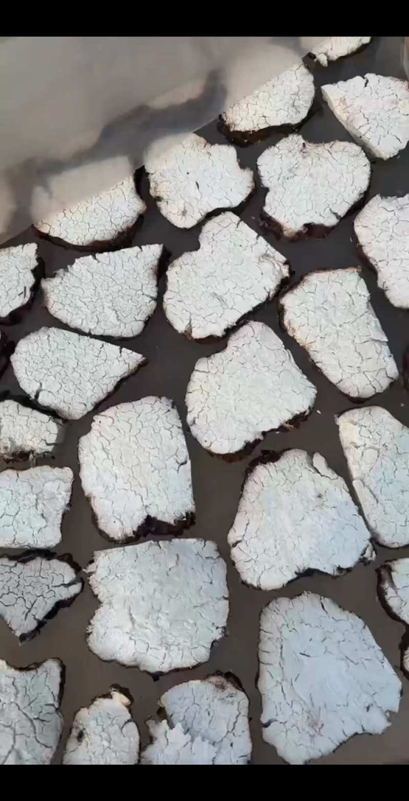 茯苓/云苓/云南楚雄市正宗一手货源/产地直供/欢迎咨询