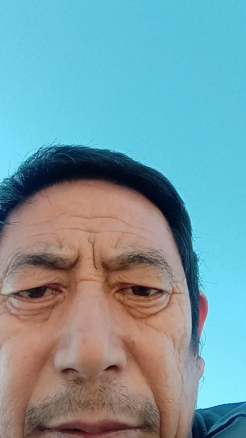 【克伦生葡萄苗】河北葡萄苗现挖保活支持技术各种规格