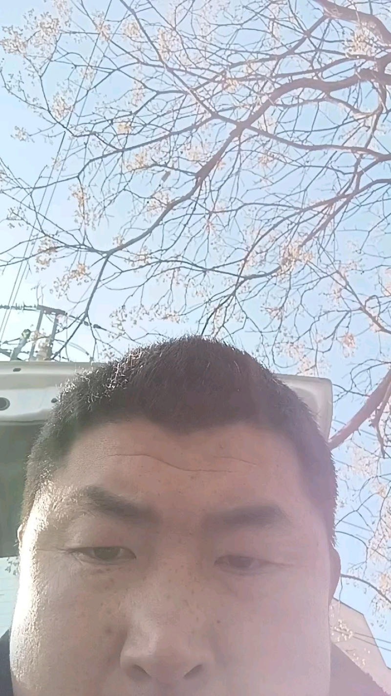 瑞卡蓝莓，精品蓝莓，物超所值，产地直发，全国发货欢迎咨询