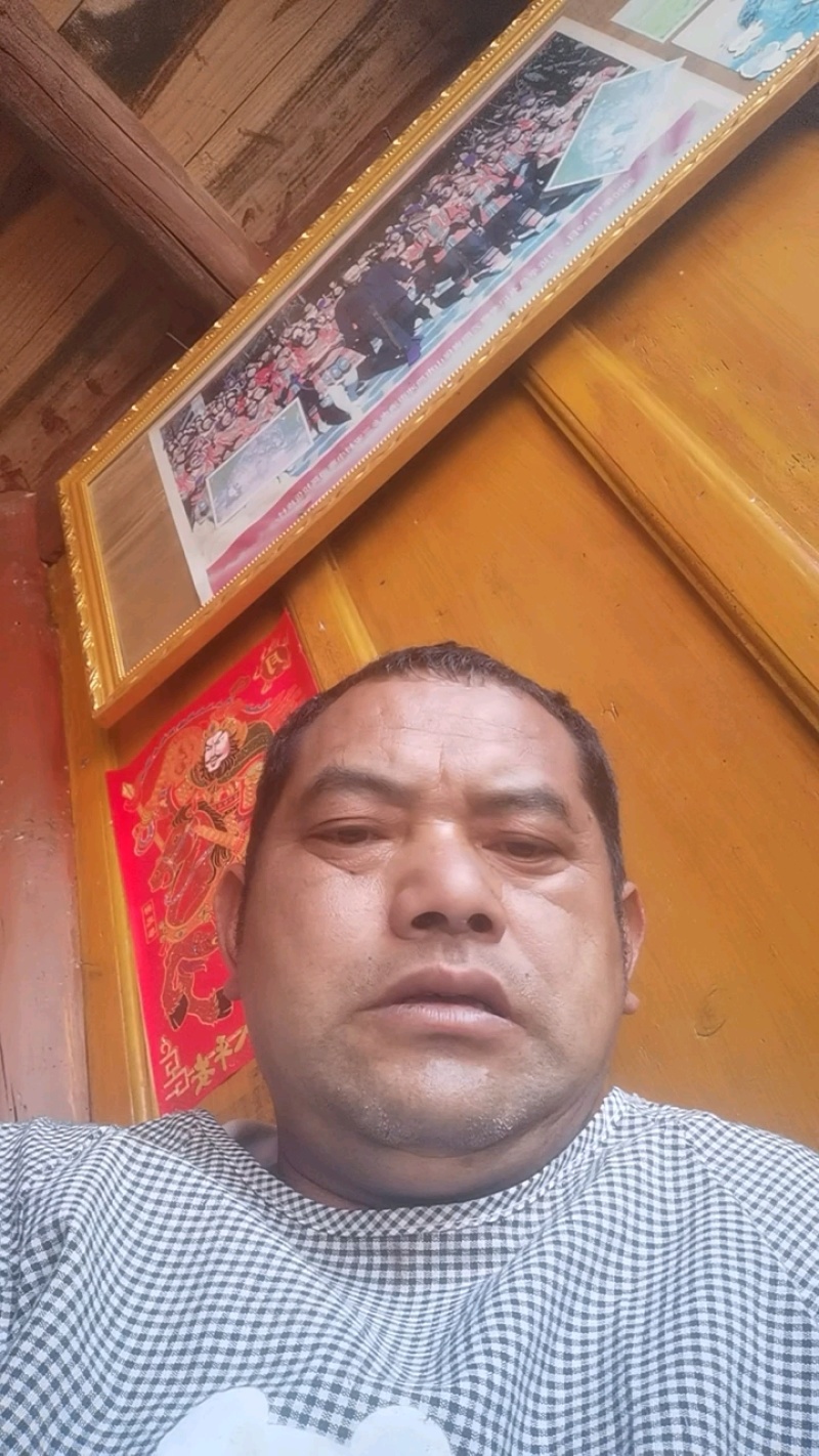 滇西中药材鬼针草量大从优品质发货欢迎来基地考察订购