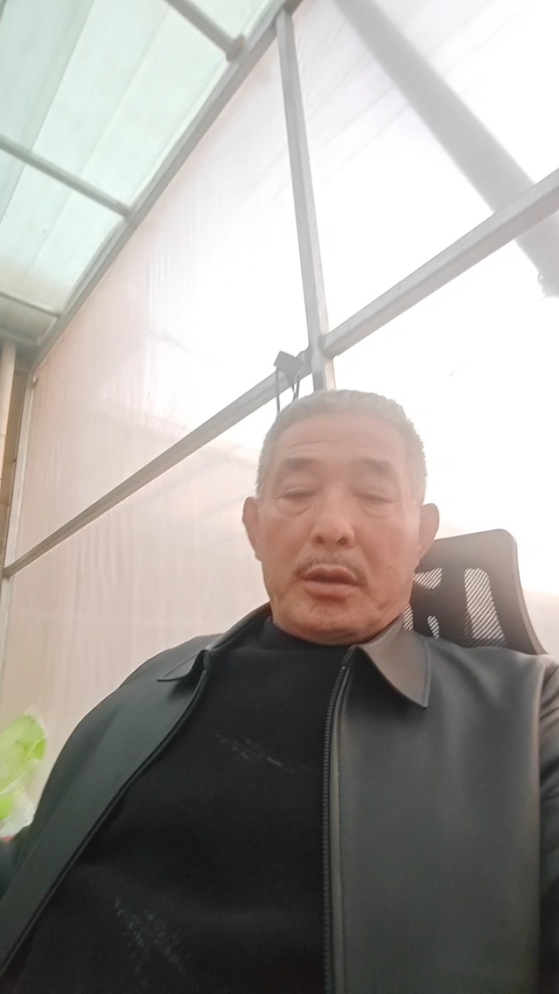 花椒树苗，1一2年苗，品种〈大红袍），根系完好，成活率高