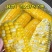 云南万亩水果玉米大量供应