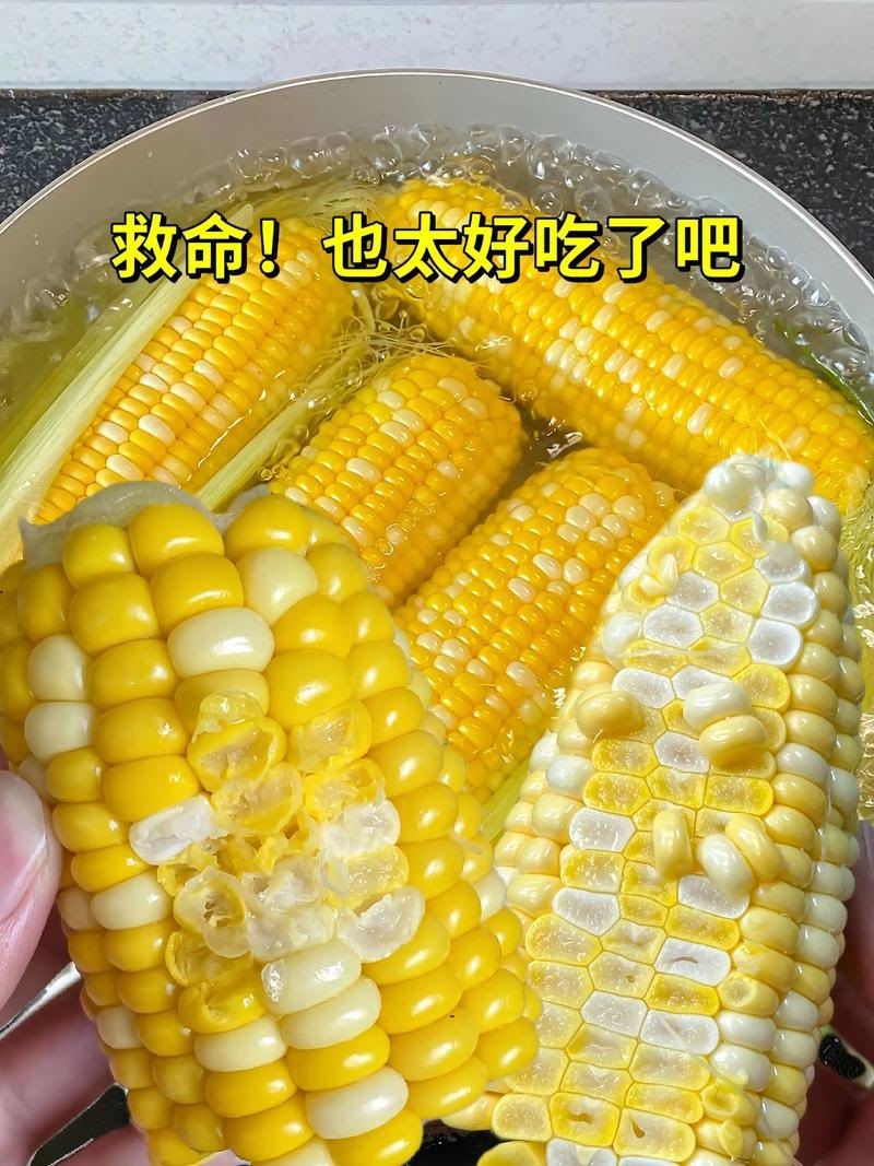 云南万亩水果玉米大量供应