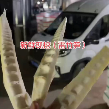 雷竹笋冬笋龙糠笋新鲜上市场地一手货源支持规格配送电商批发