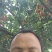 桂林砂糖橘