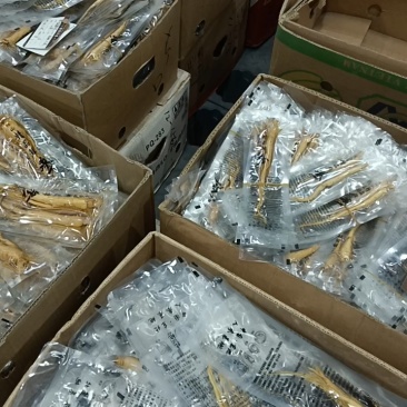 野生肾精草，长在悬崖峭壁上，新鲜干净，原产地发货，大量有