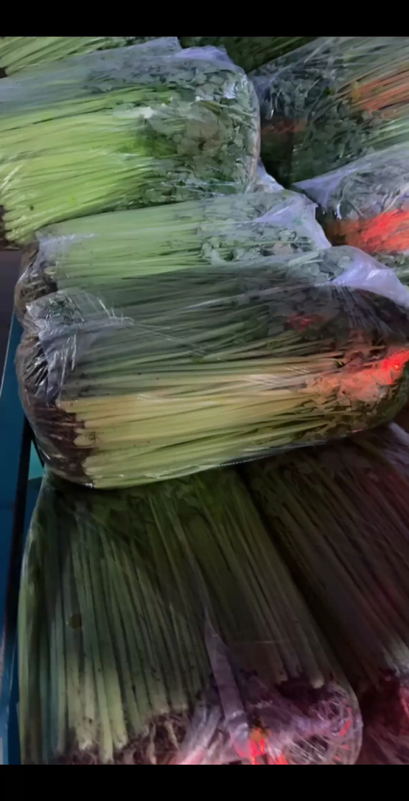 精品香芹发盒马，走车批发价优