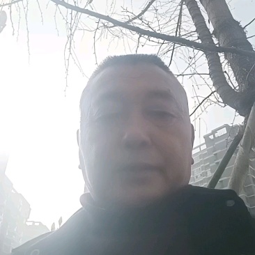 精品大五星枇杷苗，包挂果，包技术，假一赔十，放心购买。