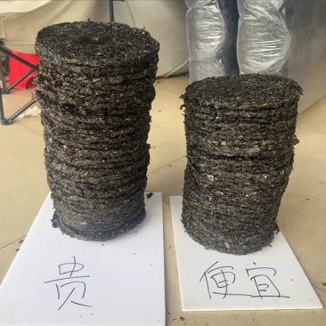福建霞浦无沙紫菜地摊电商园紫菜头水方紫菜干