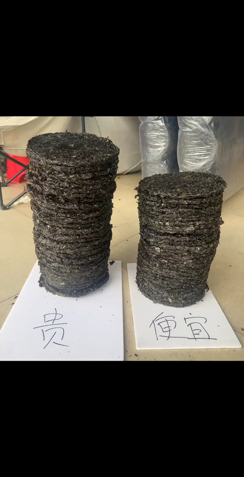 福建霞浦无沙紫菜地摊电商园紫菜头水方紫菜干