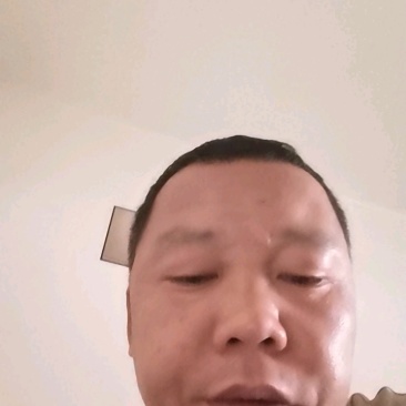 红心芭乐（西瓜红番石榴），支持全网电商一件代发，3斤/5斤