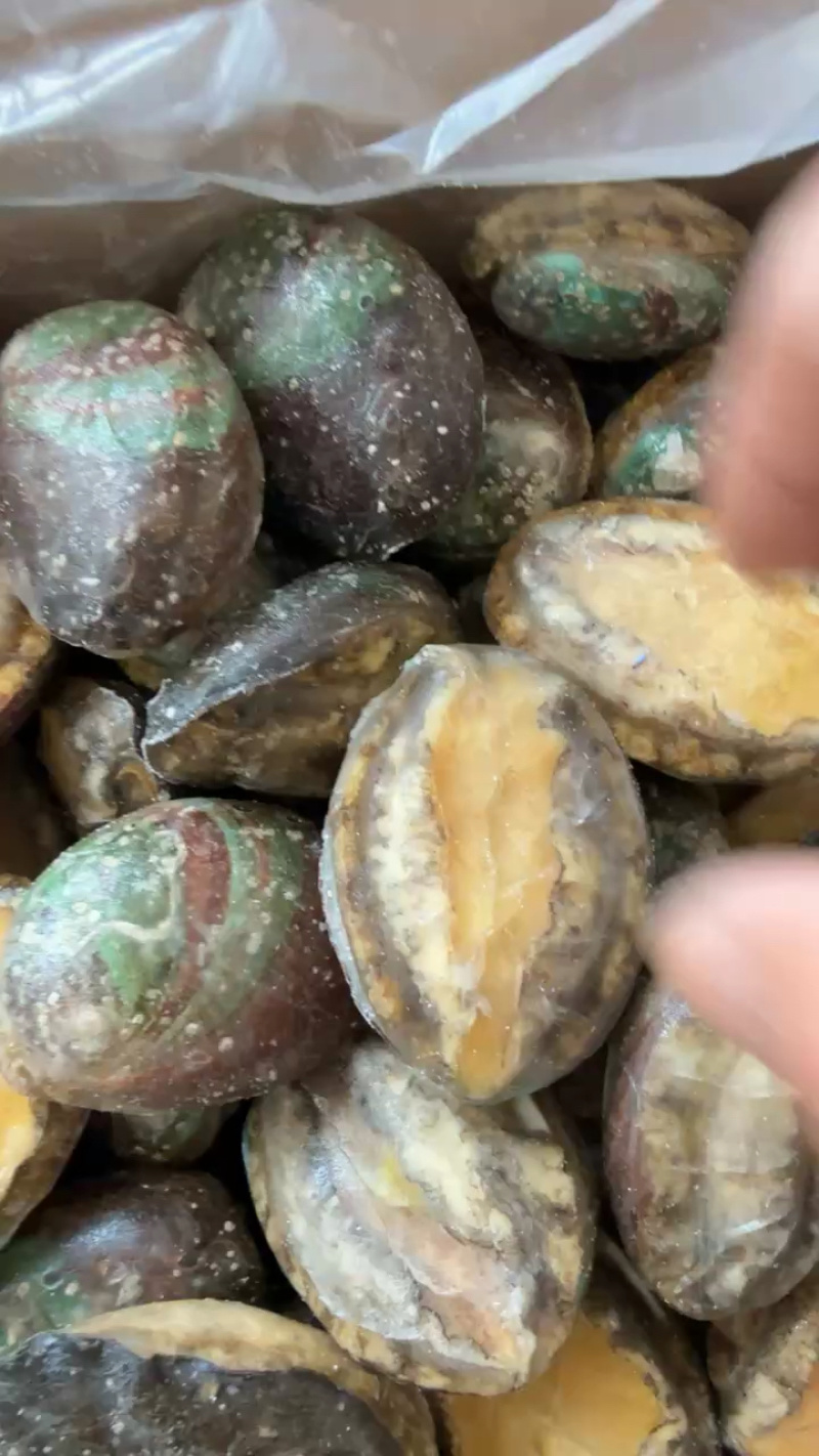 新鲜活冻鲍鱼大鲍鱼小鲍鱼贝类捞汁小海鲜专用食材