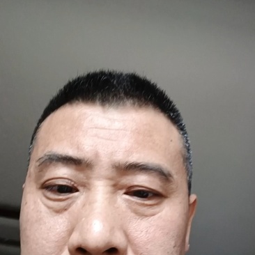 四川蒲江耙耙柑