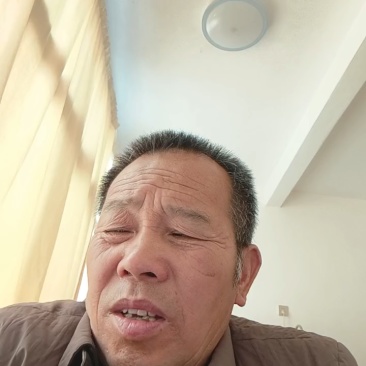 梅瑰茄