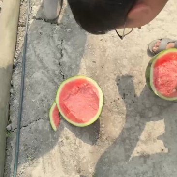 《跳楼价》美都价格美丽，精品货.一手货源，口感脆甜