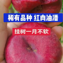 红肉油蟠桃，纯甜无酸，含糖24个糖以上！