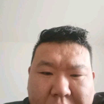 发酵羊粪蛋
