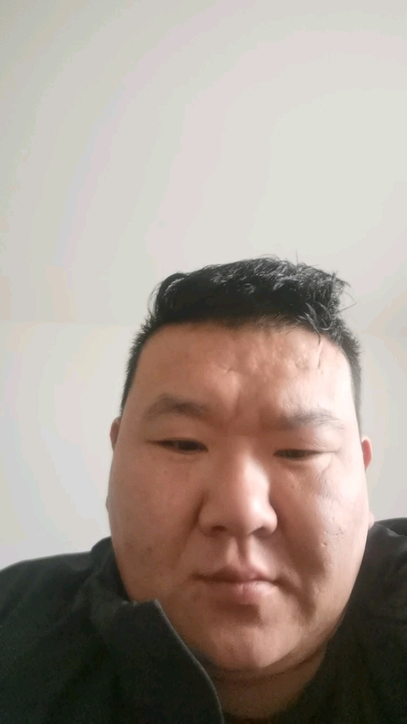 发酵羊粪蛋