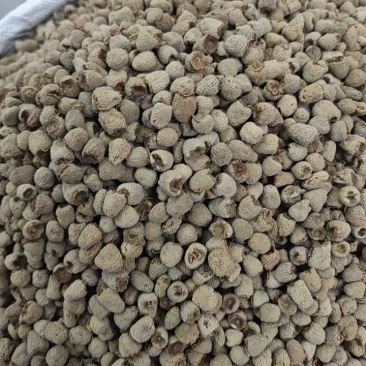覆盆子手工精选大果有大货出售