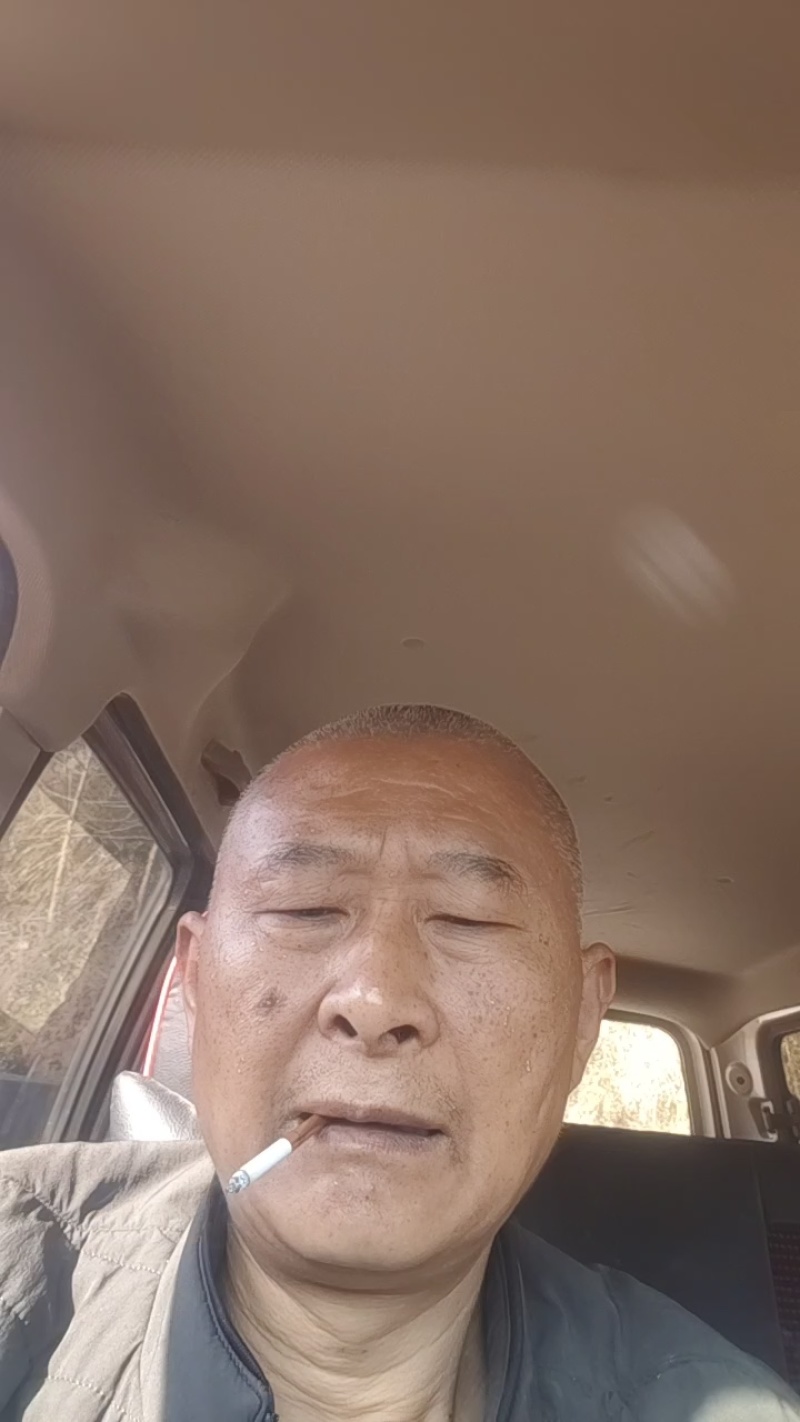 四川广元麦米冬苗（麦冬苗），大量上市，保质保量，欢迎咨询