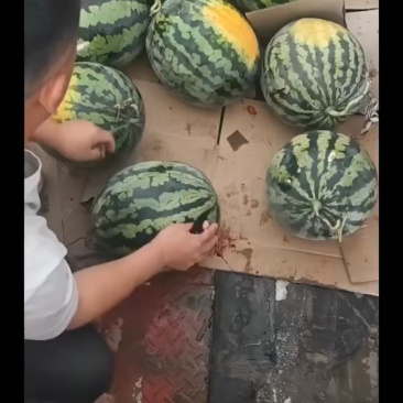 10斤起步，正在装车中