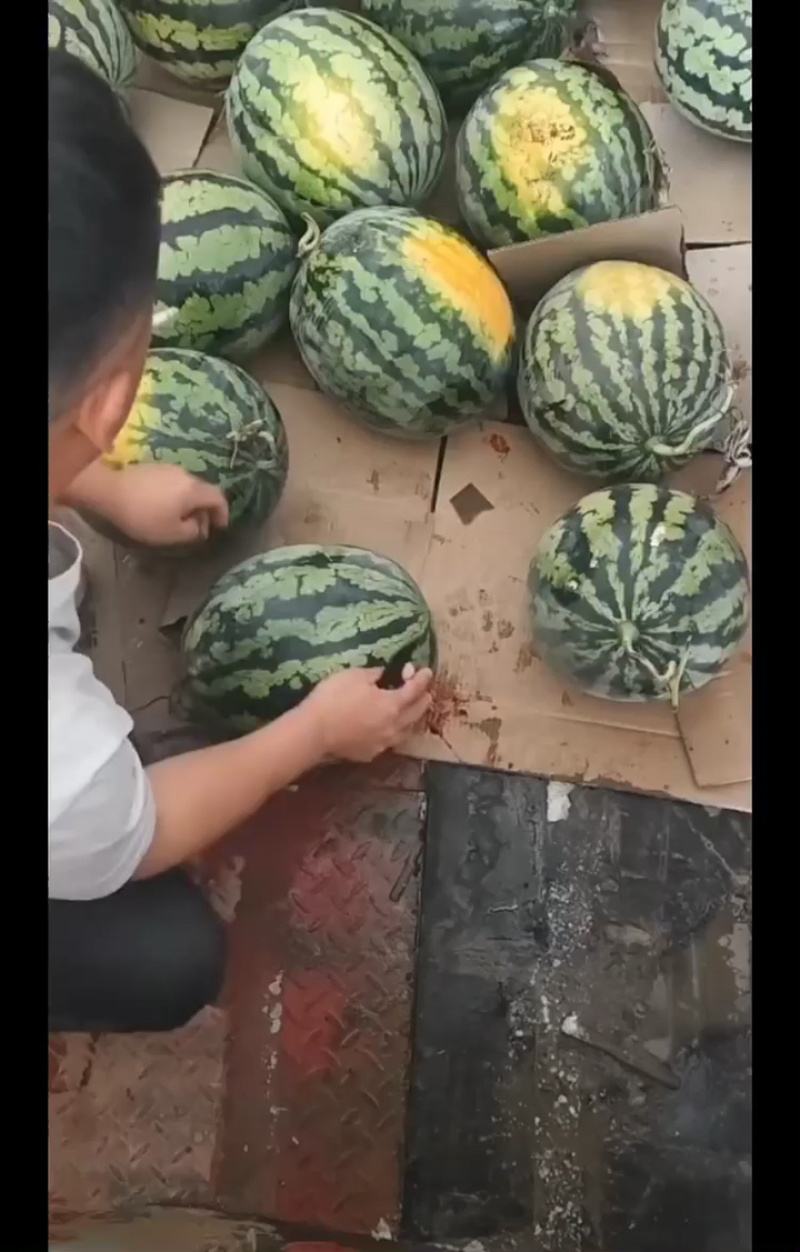10斤起步，正在装车中