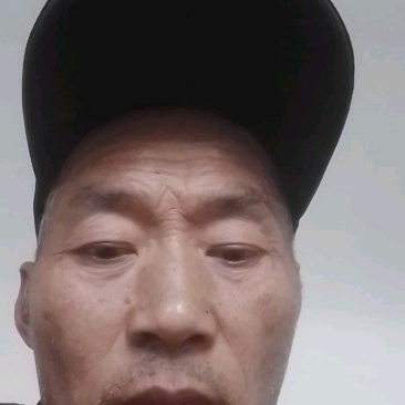 陕西杨陵巨玫瑰葡萄种苗