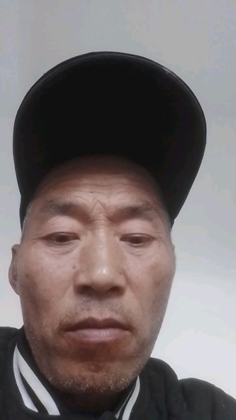 陕西杨陵巨玫瑰葡萄种苗