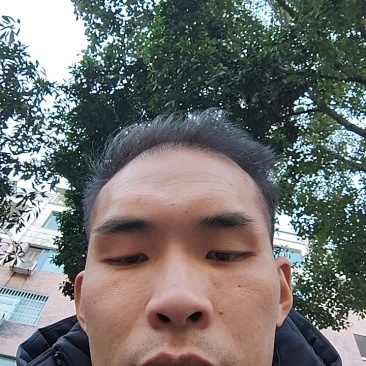 散养土鸡红瑶鸡纯玉米林地饲养品质好/量大价优/欢迎咨询