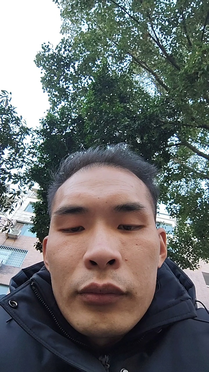 散养土鸡红瑶鸡纯玉米林地饲养品质好/量大价优/欢迎咨询