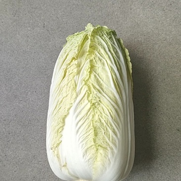 娃娃菜