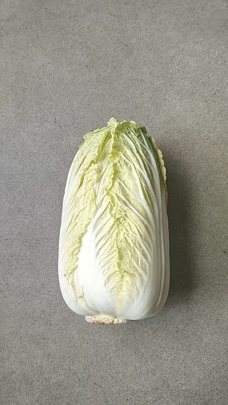 娃娃菜