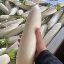 纯白货品，规格适中，整体效果不错。