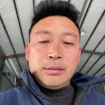 普罗旺斯西红柿产地直发，对接批发市场，商超，电商