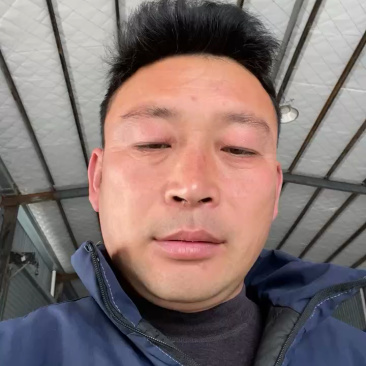 普罗旺斯西红柿产地直发，对接批发市场，商超，电商