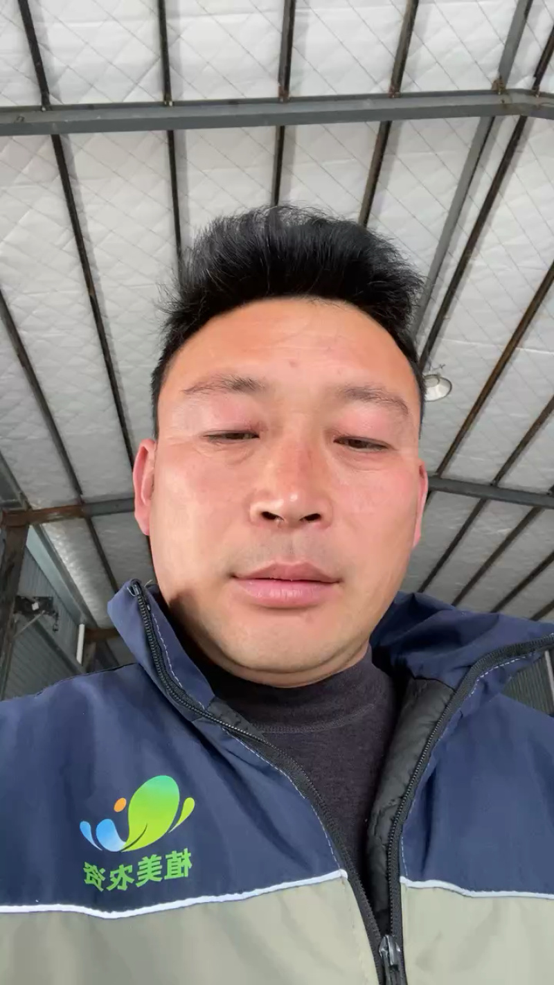 普罗旺斯西红柿产地直发，对接批发市场，商超，电商