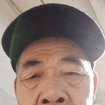 土蜂蜜，大量有货，自家养殖，欢迎新老客户前来合作