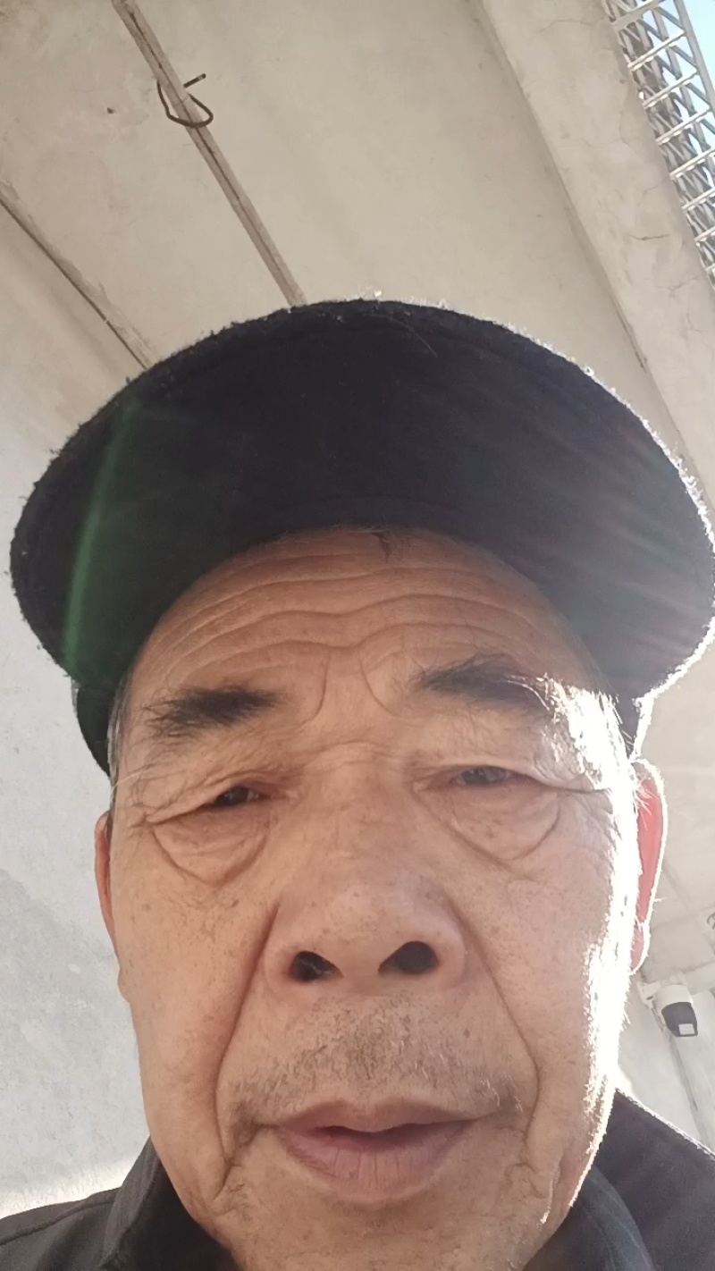 土蜂蜜，大量有货，自家养殖，欢迎新老客户前来合作