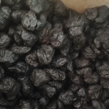 九制熟地温县菊花心焦作河南发货