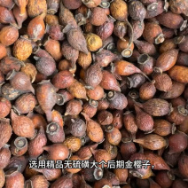 中药材金樱子肉三蒸三晒金樱子干肉泡酒材料