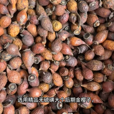 中药材金樱子肉三蒸三晒金樱子干肉泡酒材料